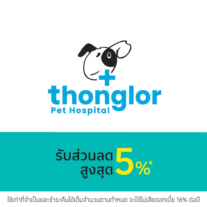 โรงพยาบาลสัตว์ทองหล่อ