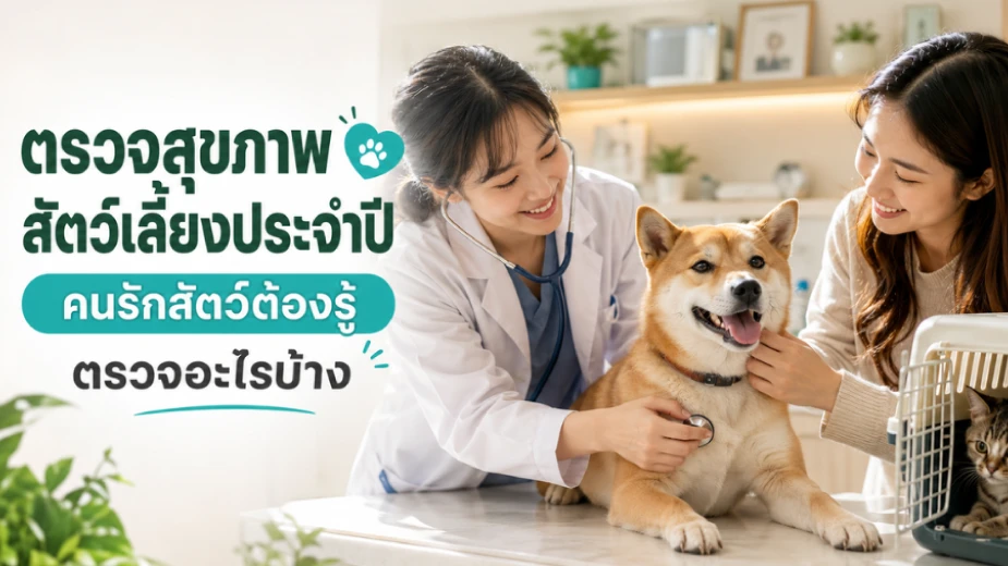 พาหมาแมวไปตรวจสุขภาพประจำปีที่โรงพยาบาลสัตว์