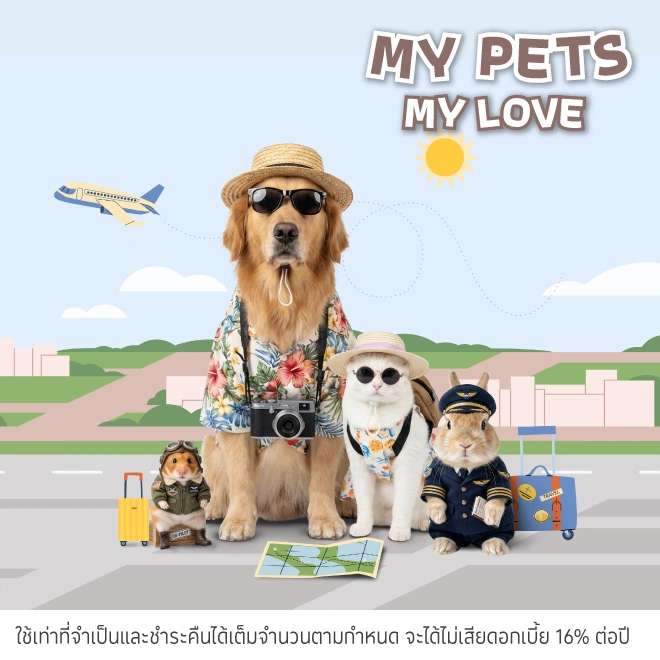 ใช้จ่ายที่โรงพยาบาลสัตว์ คลินิก เพ็ทช้อป