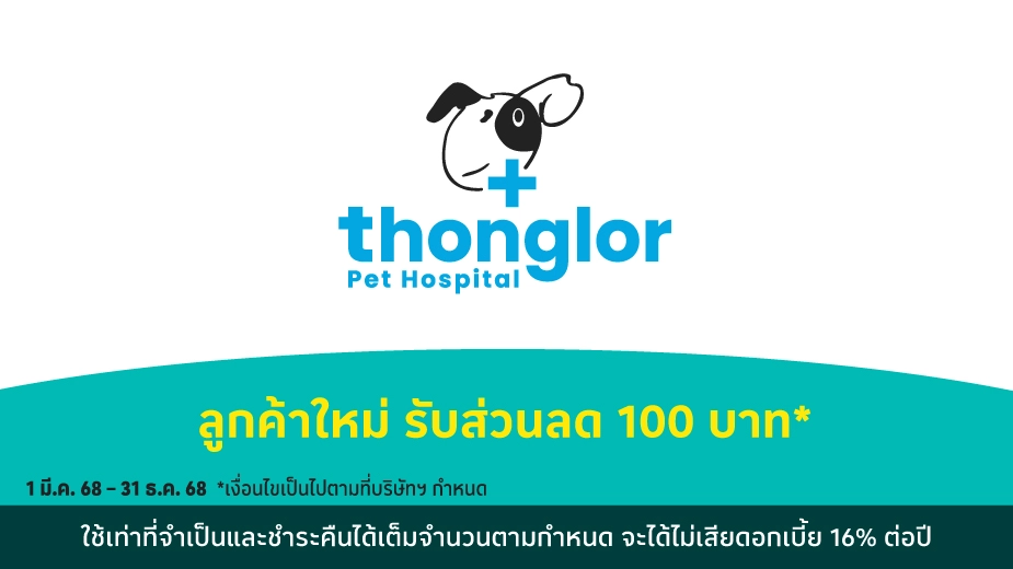 โรงพยาบาลสัตว์ทองหล่อ