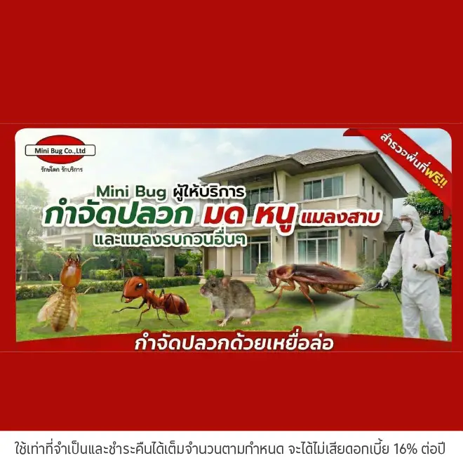 ผ่อนบริการ 0%* ที่ Mini Bug