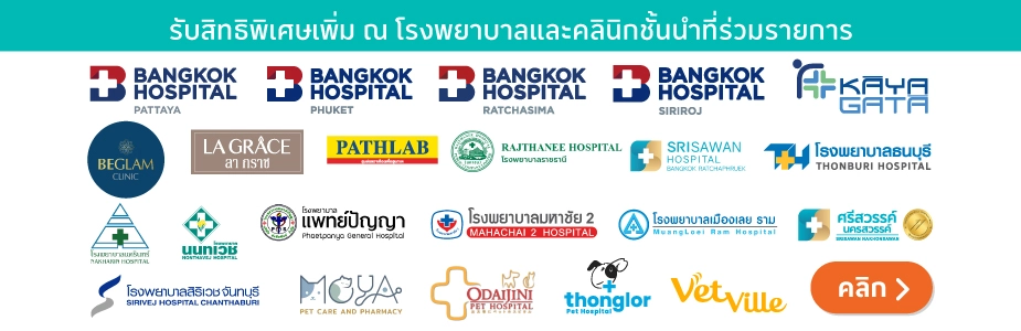 โรงพยาบาลและคลินิกชั้นนำ