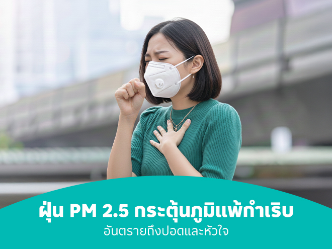 คนเป็นภูมิแพ้ต้องระวัง! PM 2.5 ตัวเร่งโรคร้าย ทำลายปอด หัวใจ และดวงตา