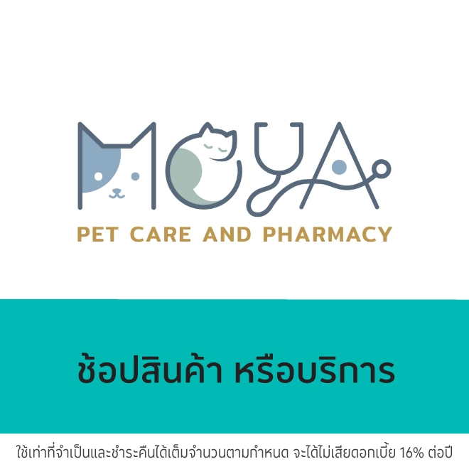 โรงพยาบาลสัตว์ทองหล่อ