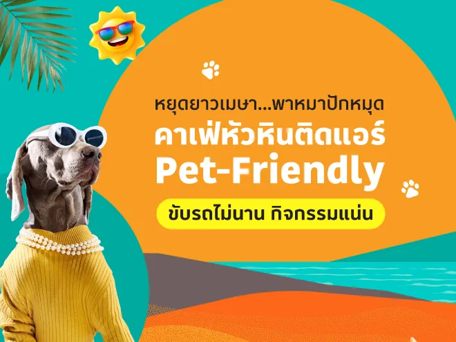 มัดรวม 10 คาเฟ่ Pet-Friendly หัวหิน บรรยากาศชิล สัตว์เลี้ยงเข้าได้ (อัปเดต 2026)