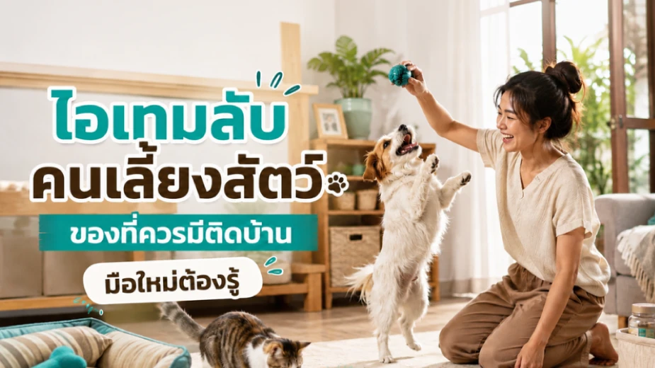 รวมไอเทมของใช้สำหรับคนเลี้ยงหมาแมว ของที่ควรมีติดบ้าน
