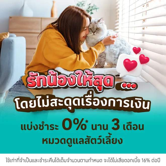 ค่าใช้จ่ายหมวดดูแลสัตว์เลี้ยง ผ่อน 0% นาน 3 เดือน* หรืออัตราดอกเบี้ยพิเศษ*