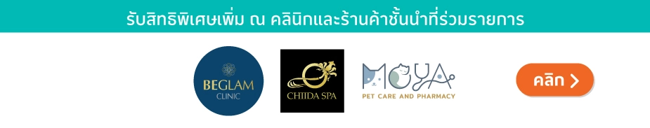 โรงพยาบาลและคลินิกชั้นนำ