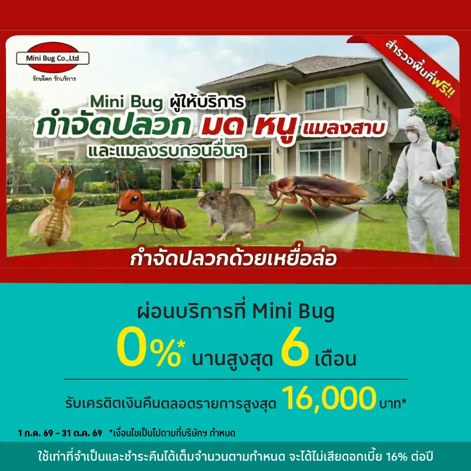 ผ่อนบริการ 0%25* ที่ Mini Bug