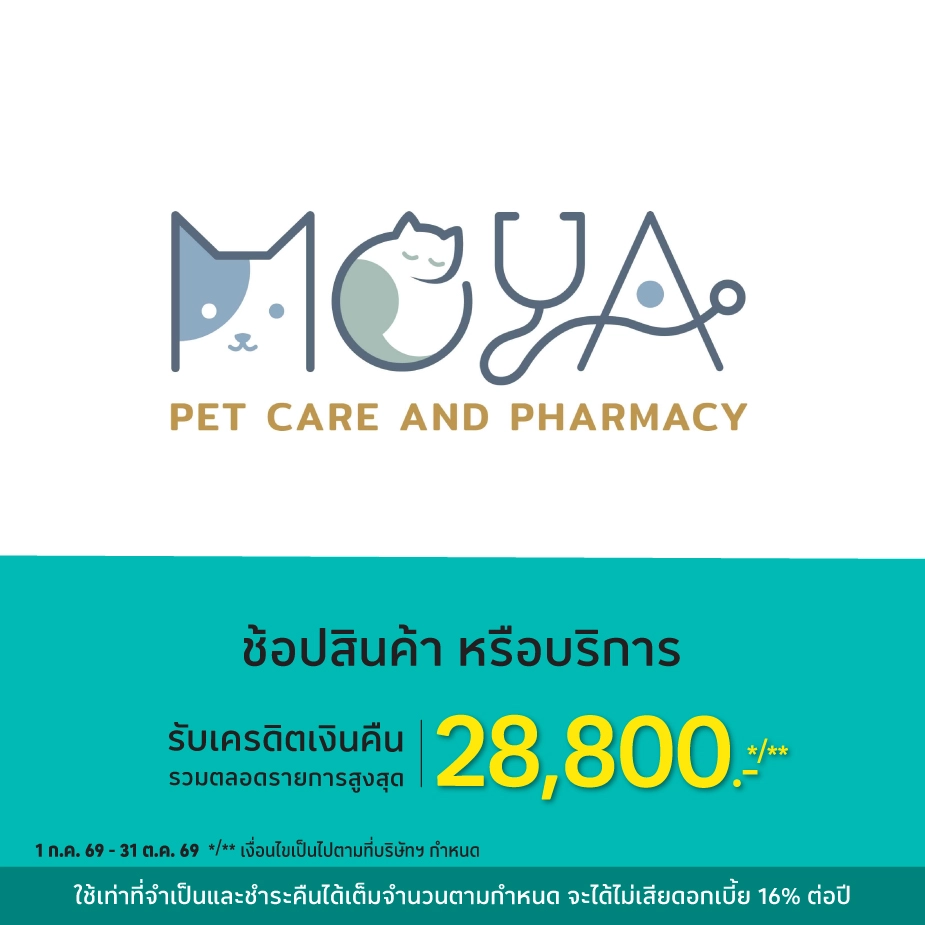 โมยา เพ็ท แคร์ แอนด์ ฟาร์มาซี ทุกสาขา