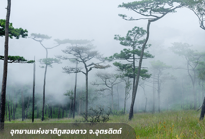 อุทยานแห่งชาติภูสอยดาว