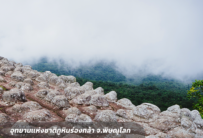 อุทยานแห่งชาติภูหินร่องกล้า