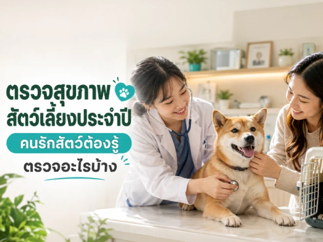 ตรวจสุขภาพสัตว์เลี้ยงประจำปี คนรักสัตว์ต้องรู้ ตรวจอะไรบ้าง