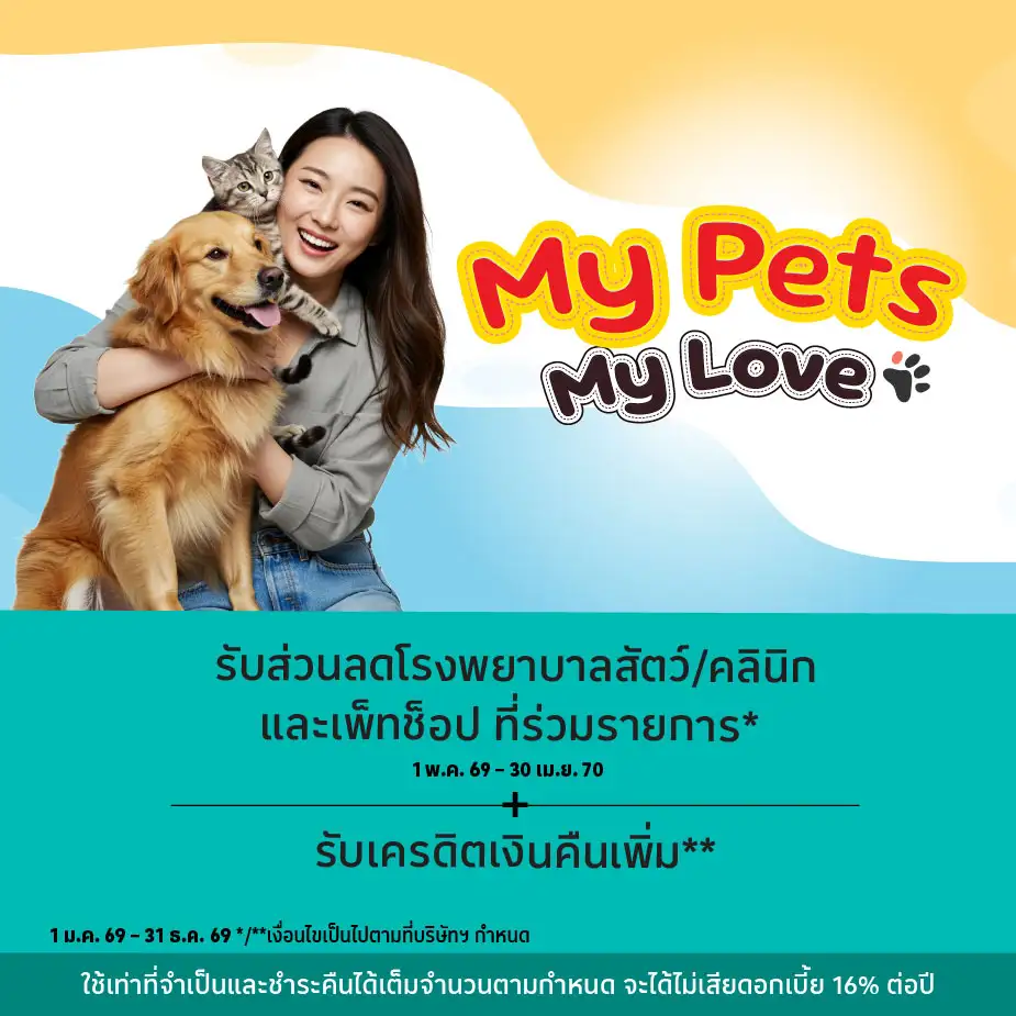 รวมดีล โรงพยาบาลสัตว์/คลินิก และเพ็ทช้อป