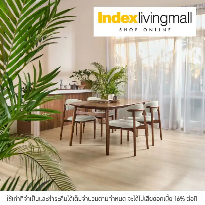 Index Shop Online ผ่อนของแต่งบ้าน