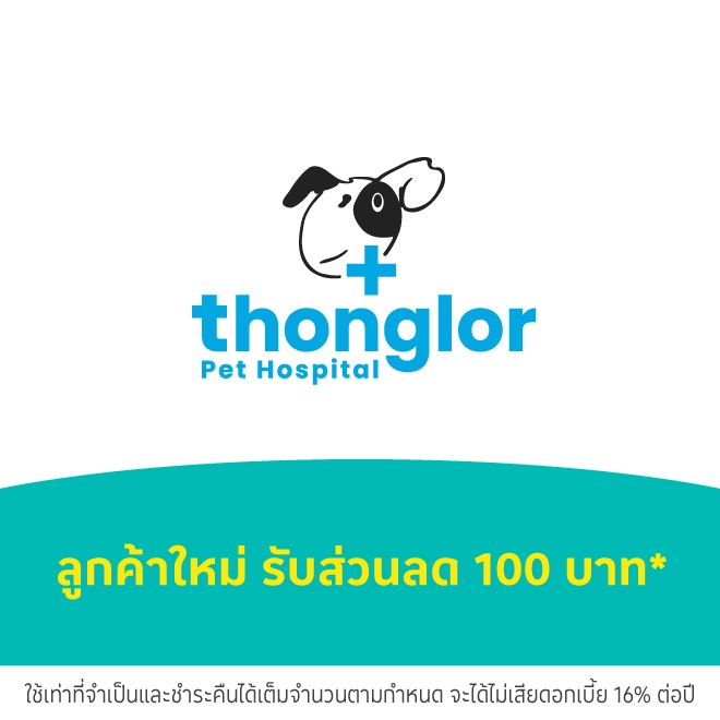 โรงพยาบาลสัตว์ทองหล่อ