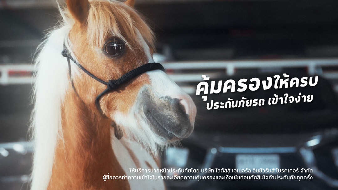 คุ้มครองให้ครบ ประกันภัยรถเข้าใจง่าย ที่โลตัส มันนี่ พลัส