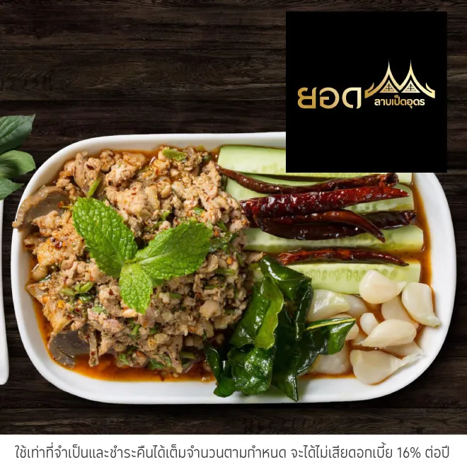 ยอดลาบเป็ดอุดร (Yod Larb Ped Udon) รับส่วนลด 10%*