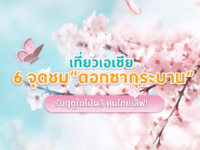 เที่ยวเอเชีย 6 จุดชม "ดอกซากุระ" 2566 บานรับฤดูใบไม้ผลิ คนไทยเลิฟ!