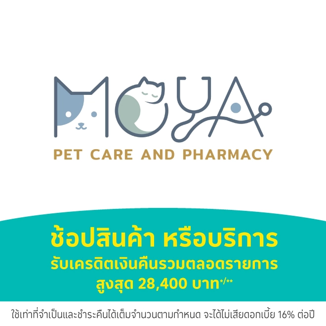 โรงพยาบาลสัตว์ทองหล่อ