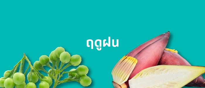 ฤดูฝน ( ตั้งแต่มิถุนายนถึงตุลาคม) 