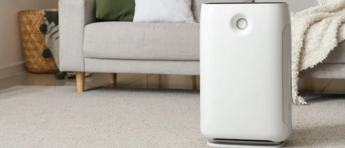 เครื่องฟอกอากาศ (Air Purifier)