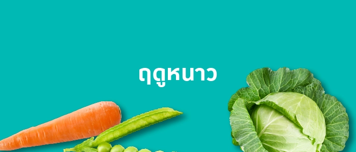 ฤดูหนาว  (ตั้งแต่พฤศจิกายนถึงกุมภาพันธ์)