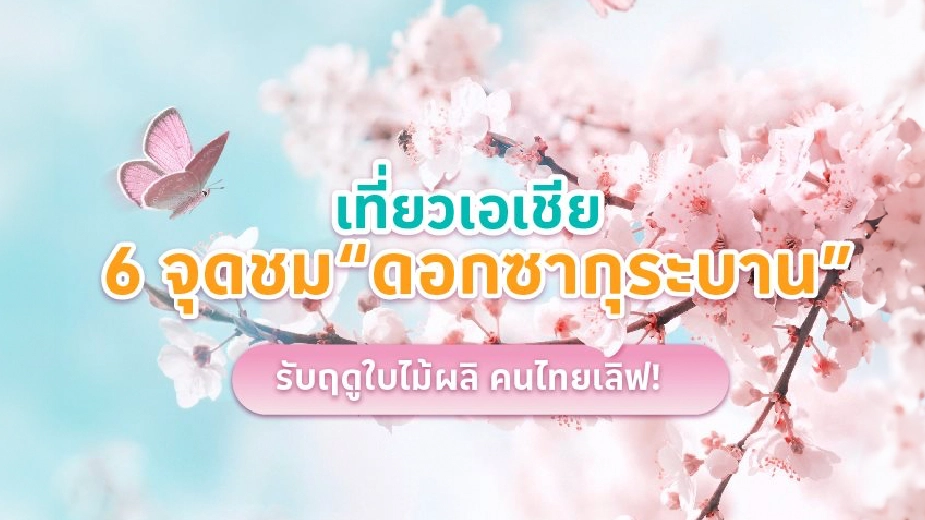 เที่ยวเอเชีย 6 จุดชม "ดอกซากุระ" 2566 บานรับฤดูใบไม้ผลิ คนไทยเลิฟ!