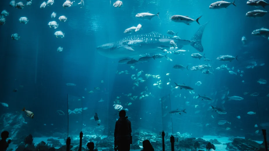 Sea Life Bangkok Ocean World