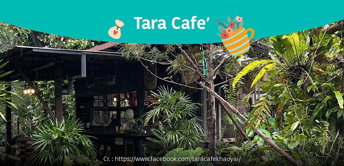 TARA CAFE