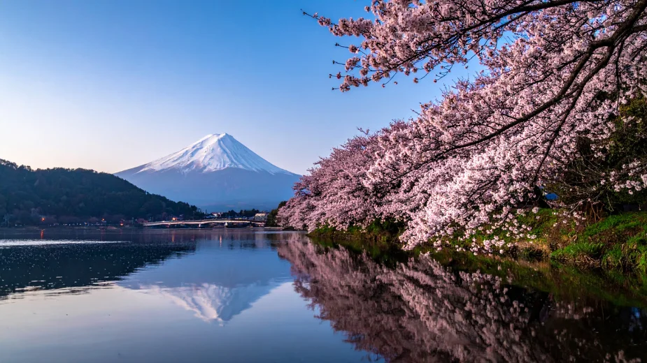 ญี่ปุ่น