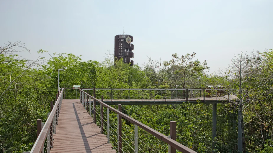 ศูนย์เรียนรู้ป่าในกรุง ปตท.