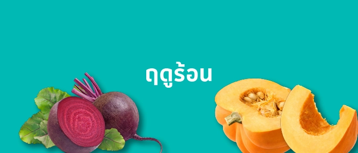 ฤดูร้อน (มีนาคม-พฤษภาคม)